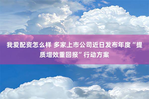 我爱配资怎么样 多家上市公司近日发布年度“提质增效重回报”行动方案