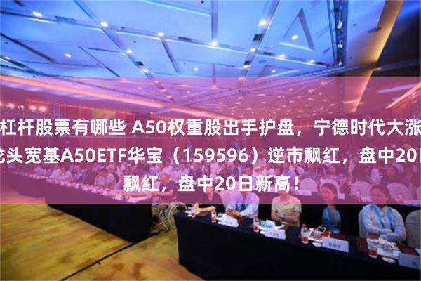 杠杆股票有哪些 A50权重股出手护盘，宁德时代大涨4%！龙头宽基A50ETF华宝（159596）逆市飘红，盘中20日新高！