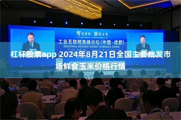 杠杆股票app 2024年8月21日全国主要批发市场鲜食玉米价格行情