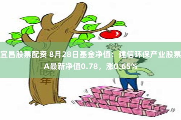 宜昌股票配资 8月28日基金净值：建信环保产业股票A最新净值0.78，涨0.65%