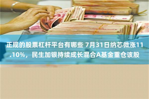 正规的股票杠杆平台有哪些 7月31日纳芯微涨11.10%，民生加银持续成长混合A基金重仓该股