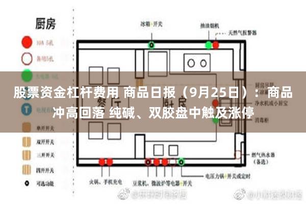 股票资金杠杆费用 商品日报（9月25日）：商品冲高回落 纯碱、双胶盘中触及涨停