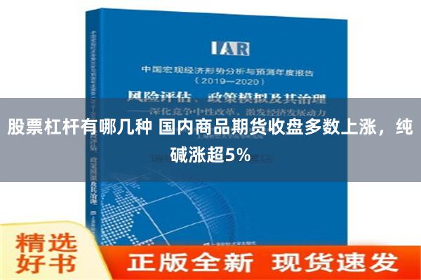 股票杠杆有哪几种 国内商品期货收盘多数上涨，纯碱涨超5%