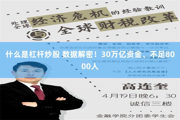 什么是杠杆炒股 数据解密！30万亿资金、不足8000人