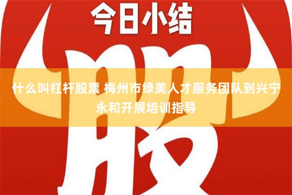 什么叫杠杆股票 梅州市绿美人才服务团队到兴宁永和开展培训指导