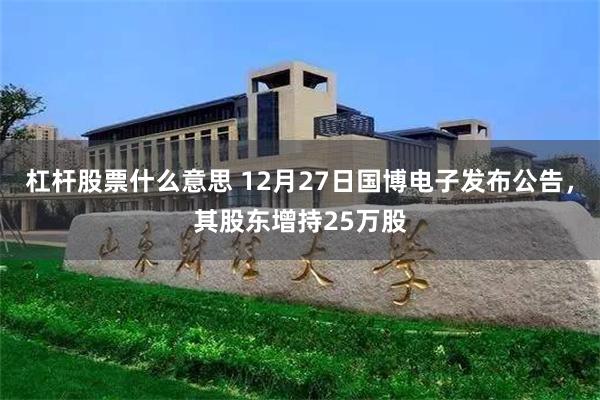 杠杆股票什么意思 12月27日国博电子发布公告，其股东增持25万股