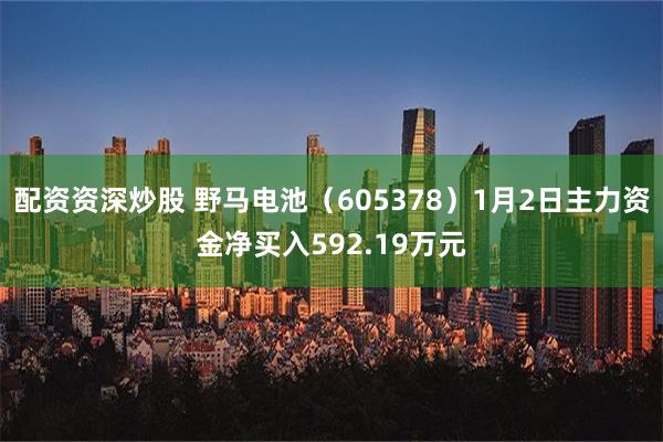 配资资深炒股 野马电池（605378）1月2日主力资金净买入592.19万元