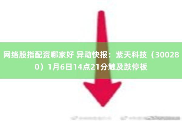 网络股指配资哪家好 异动快报：紫天科技（300280）1月6日14点21分触及跌停板