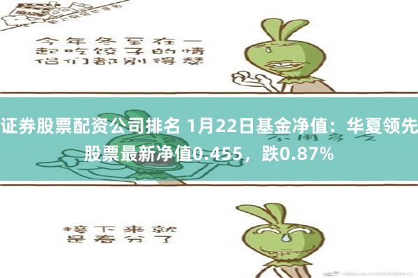 证券股票配资公司排名 1月22日基金净值：华夏领先股票最新净值0.455，跌0.87%